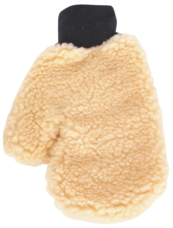 Painters Mitt