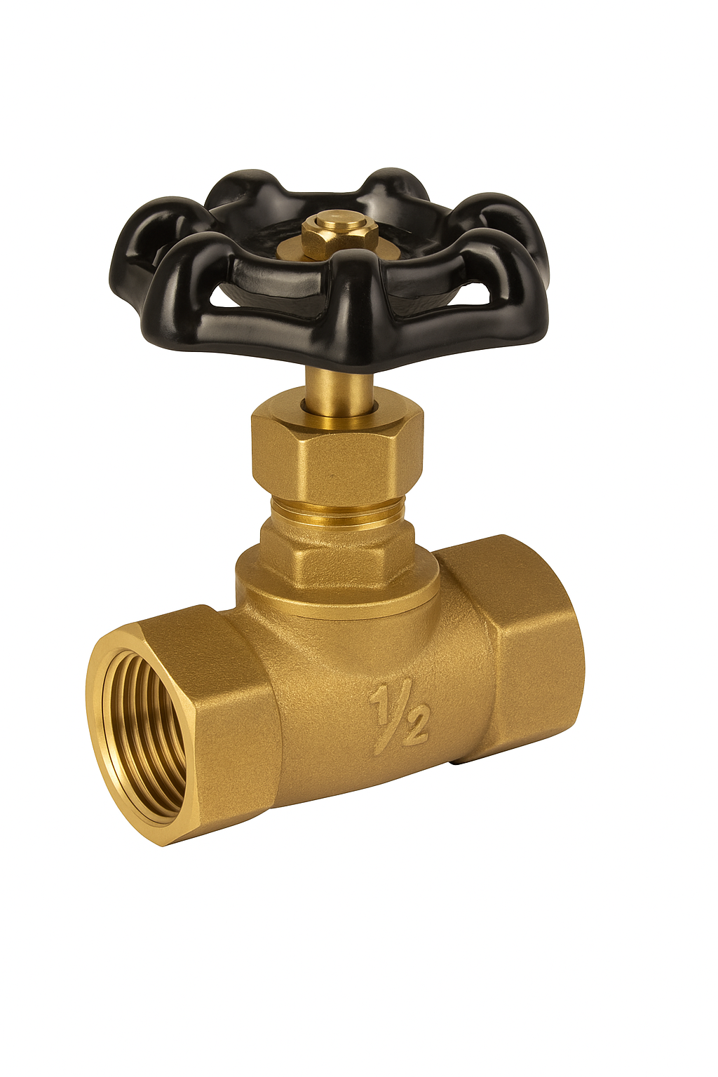 Globe Valve 1/2&quot; IPS